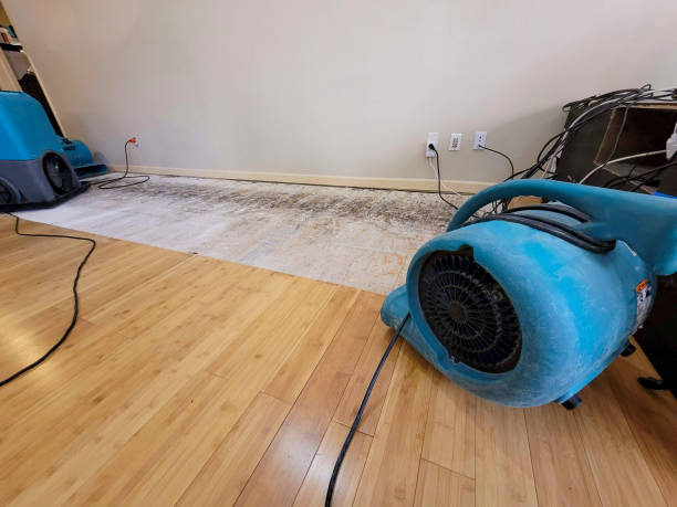 Professional Flood Damage Cleanup technician working in Sinking Spring, OH